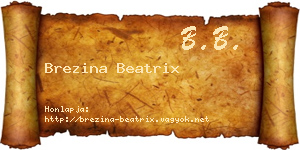 Brezina Beatrix névjegykártya